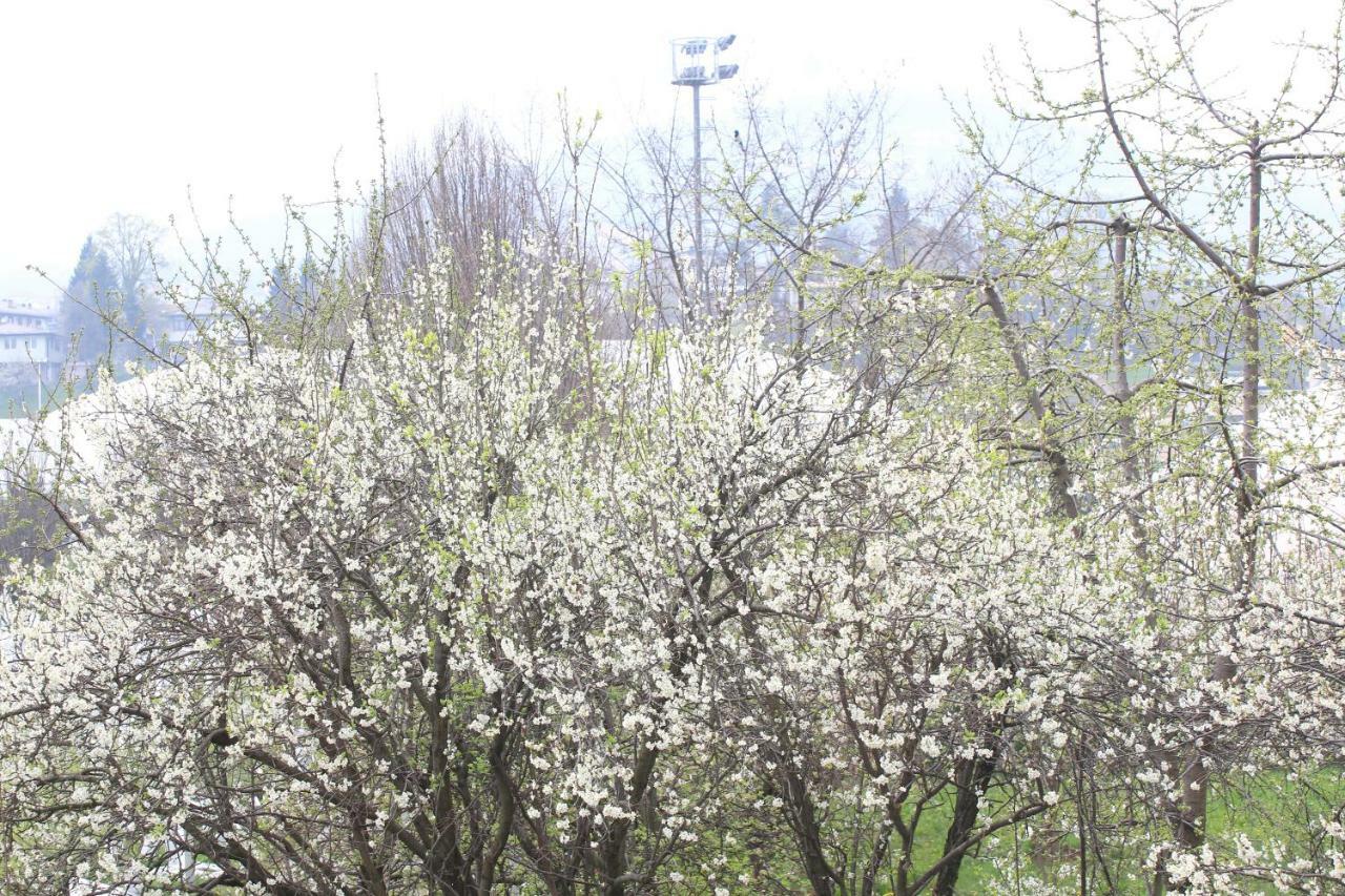 Tiny Home Saraybosna Dış mekan fotoğraf
